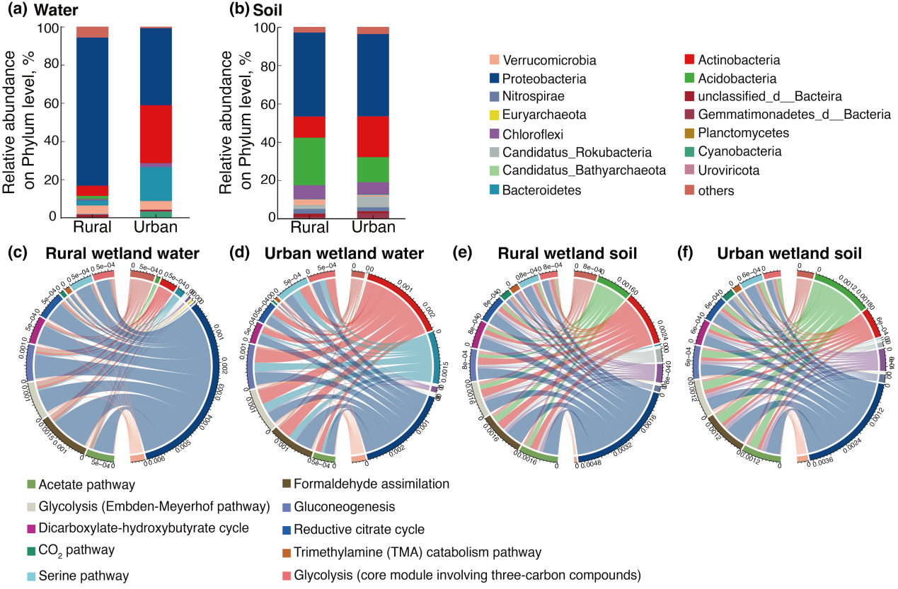 省植物园城市生态研究团队在顶级期刊SBB发表重要研究成果！