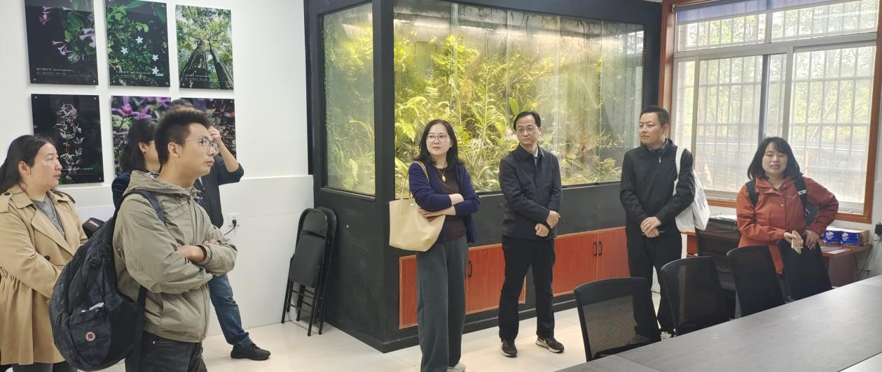 深圳仙湖植物园一行来园考察交流